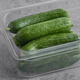 Fresh Persian Cucumber 20 lb.
