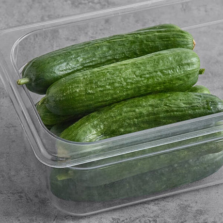 Fresh Persian Cucumber 20 lb.