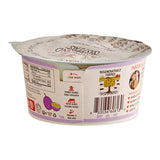 Painterland Sisters Passion Fruit Organic Skyr Yogurt Cup 5.3 oz. - 8/Pack