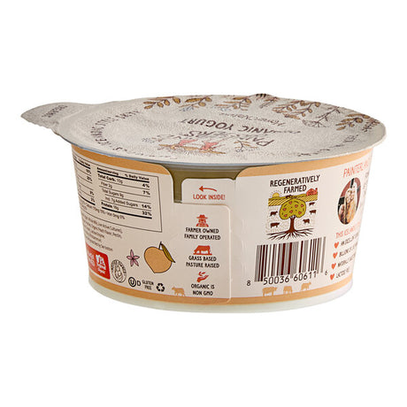 Painterland Sisters Savannah's Peach Organic Skyr Yogurt Cup 5.3 oz. - 8/Pack