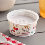 Painterland Sisters Meadow Berry Organic Skyr Yogurt Cup 5.3 oz. - 8/Pack