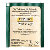 Twinings Peppermint and Creamy Vanilla Herbal Tea Bags - 120/Case