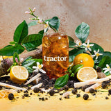 Tractor Beverage Co. Organic Sweet Tea Beverage 8.5:1 Concentrate 32 fl. oz. - 12/Case