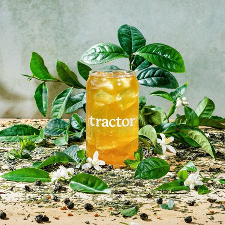 Tractor Beverage Co. Organic Green Tea Beverage 8.5:1 Concentrate 32 fl. oz. - 12/Case