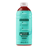 Smartfruit Replenish Watermelon / Cucumber / Mint Refresher Beverage 1:1 Concentrate 48 fl. oz. - 6/Case