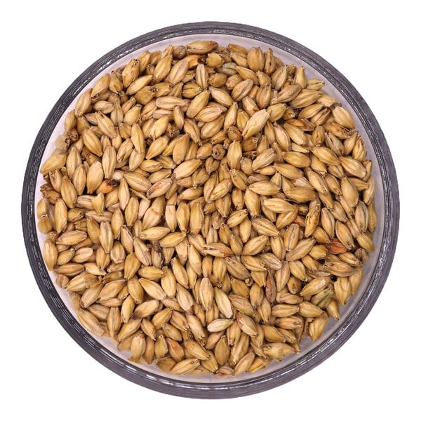 Two Track Malting Medora Mild Malt 50 lb.