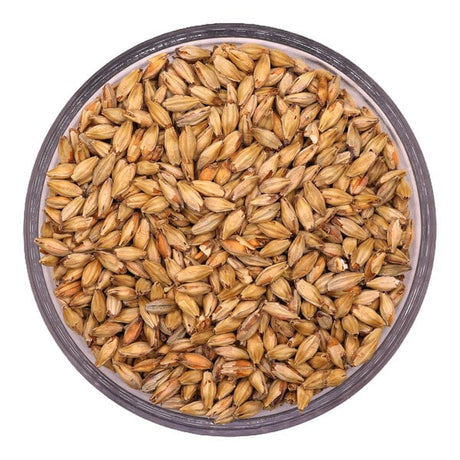 Two Track Malting Denhoff Munich Malt 50 lb.