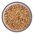 Two Track Malting Dakota Vienna Malt 50 lb.