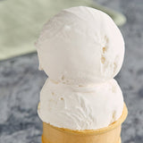 Klein's Real Kosher Vegan Vanilla Ice Cream 3 Gallon