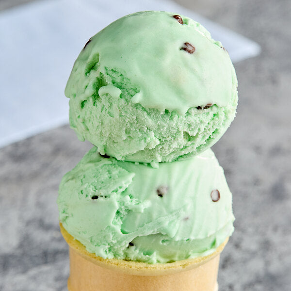 Klein's Real Kosher Vegan Mint Chip Ice Cream 3 Gallon