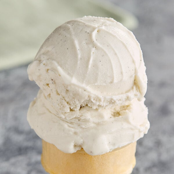 G.S. Gelato Tahitian Vanilla Bean Gelato 5 Liter Container