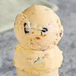 G.S. Gelato Birthday Cake Gelato 5 Liter Container
