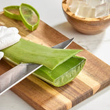 Fresh Aloe Vera Leaves 25 lb.