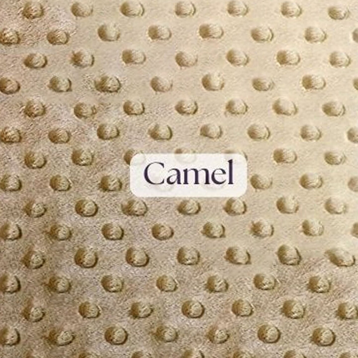 1 Yard Ultra Soft Minky Dot Fleece Plush Fabric 100 Percent Polyester for Crafts 60 Inch Width