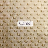 1 Yard Ultra Soft Minky Dot Fleece Plush Fabric 100 Percent Polyester for Crafts 60 Inch Width