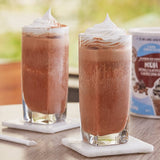 Big Train Low Carb Mocha Blended Ice Coffee Mix 1.85 lb. Can - 2/Case