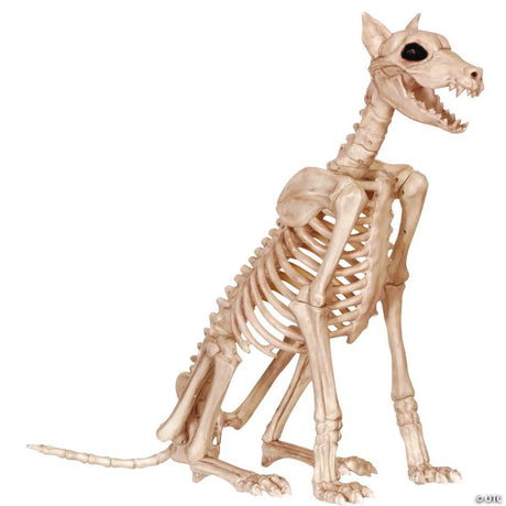 29-Inch Doberman Skeleton Halloween Decoration for Spooky Displays