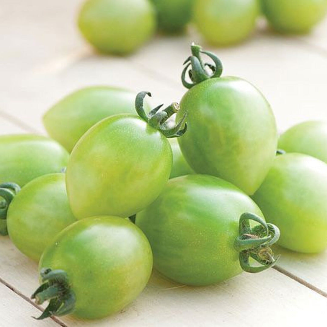 Sungreen Cherry Tomato Seeds 20 Seeds Organic Unique Green Cherry Tomato Variety