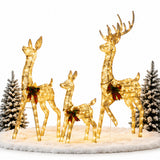 Lighted Reindeer Set Christmas Yard Decor Warm White LED