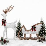 Lighted Christmas Deer Sleigh Set Warm White LED Decor