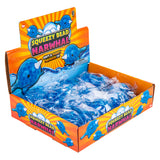 Squeezy Bead Narwhal (12 PC Display)