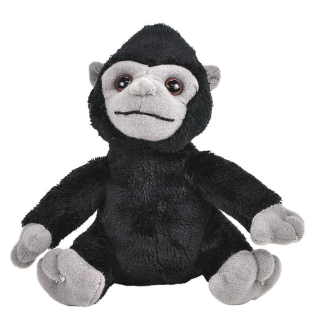 Gorilla Plush Birth Of Life Set