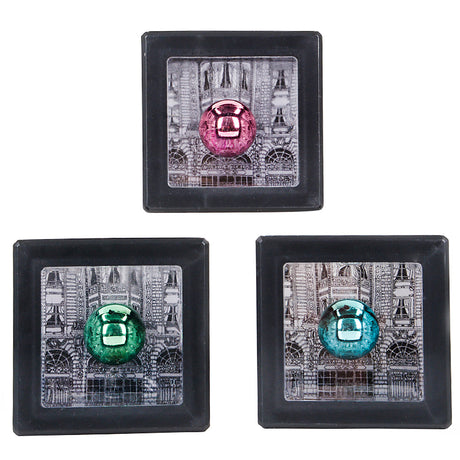 Magic Cash Box (1 DZ)