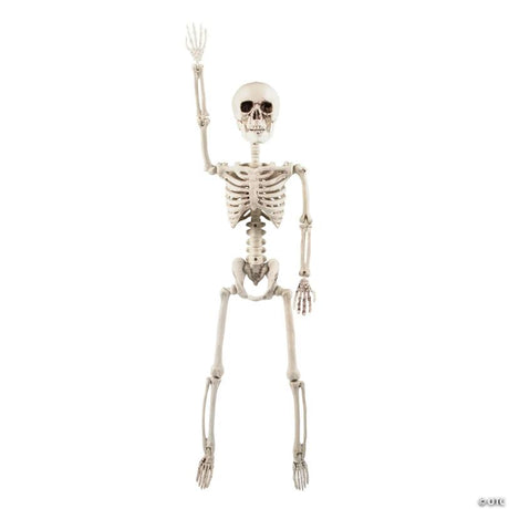 RADYAN Posable Plastic Skeleton Halloween Decoration for Yard and Porch shown in a clear product image