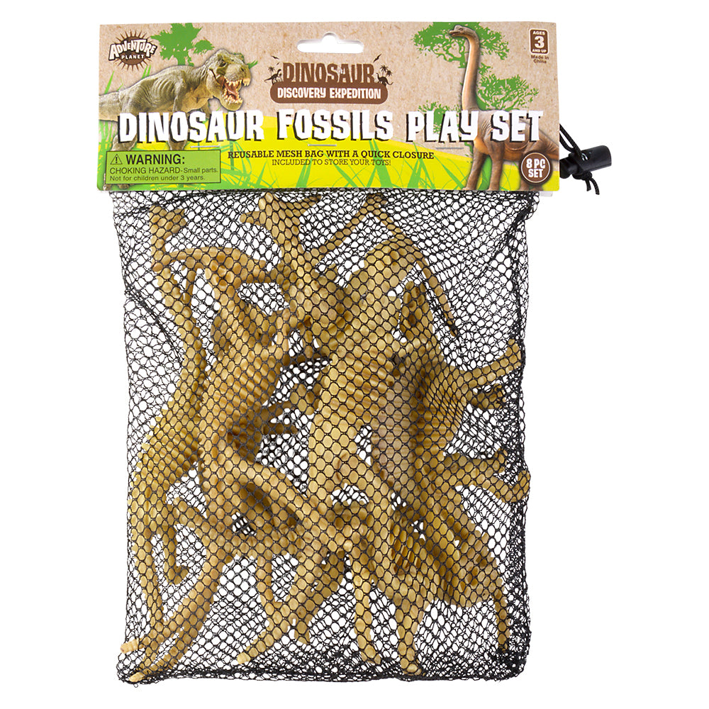 Dinosaur Fossil Assortment (1 PC)