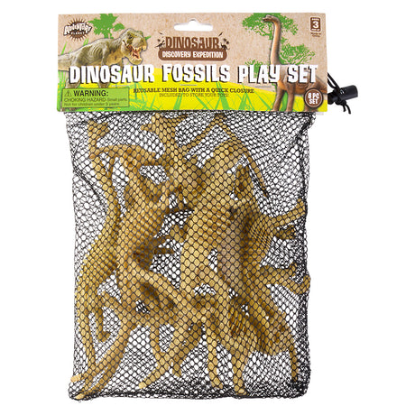 Dinosaur Fossil Assortment (1 PC)