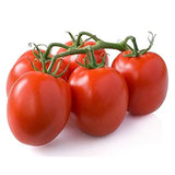 Roma Tomato Heirloom Seeds Paste Tomato Non GMO Open Pollinated Seed Packet
