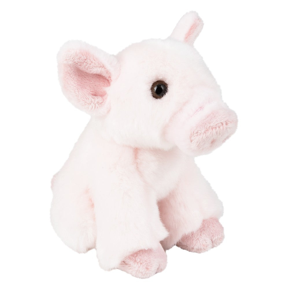 Plush Pig Treasure Toy
