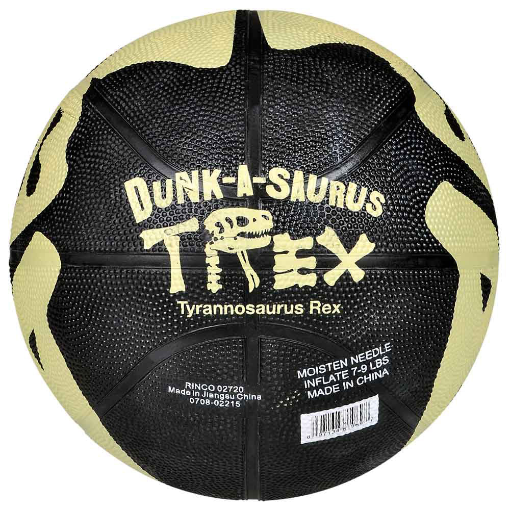 T-Rex Basketball 9.5"
