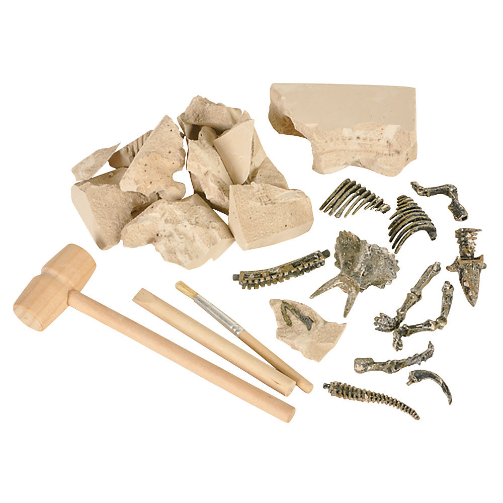 Dinosaur Fossil Excavation Kit