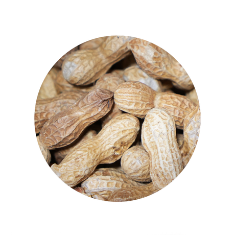 Bulk Foods - Unsalted Peanuts w/Shell - Bulk Bin 2030 (25 pounds)