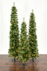 6' Whistler Pine Christmas Tree with 150 Warm White LED Lights