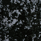 Sequin Paillettes