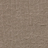 Taupe Crinkled Polyester-Rayon Woven