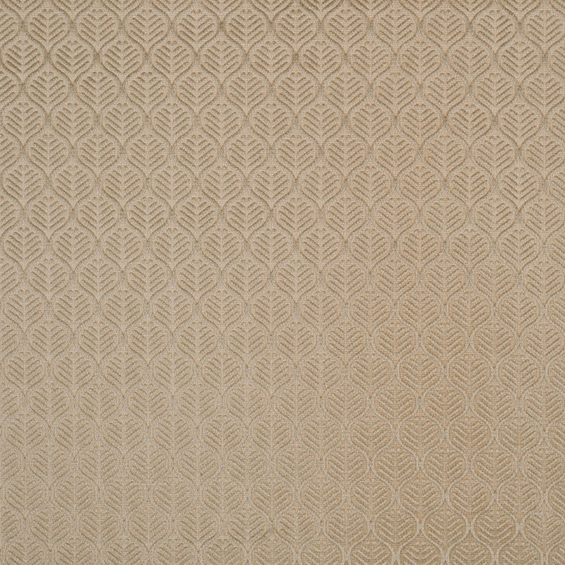 Pale Gold Geometric Cut Velvet