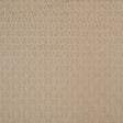 Pale Gold Geometric Cut Velvet