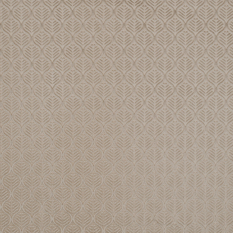 Champagne Geometric Cut Velvet