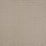 Champagne Geometric Cut Velvet