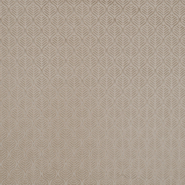 Champagne Geometric Cut Velvet