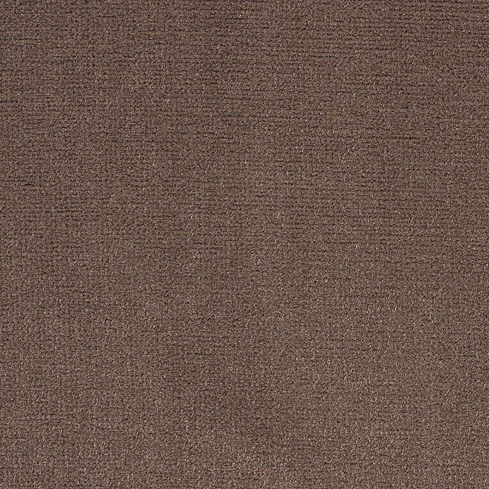Latte Home Decor Velvet