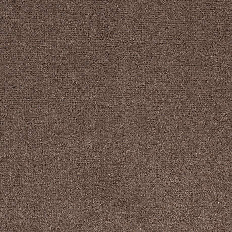 Latte Home Decor Velvet