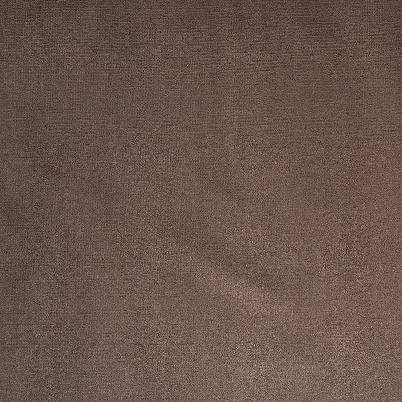 Latte Home Decor Velvet