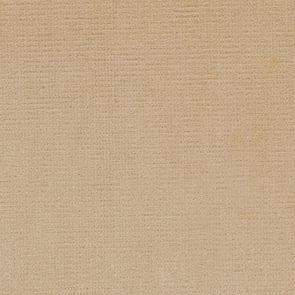 Pale Gold Home Decor Velvet