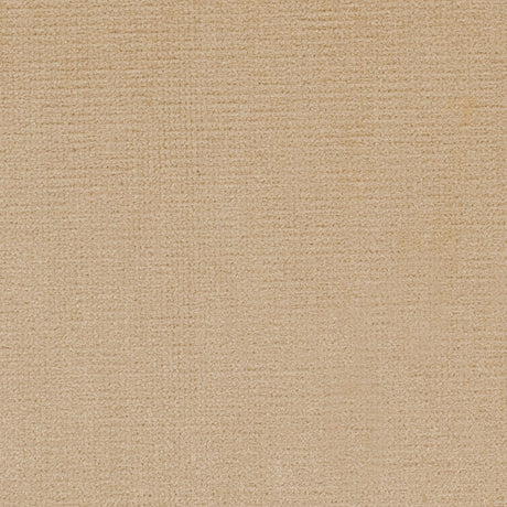 Pale Gold Home Decor Velvet