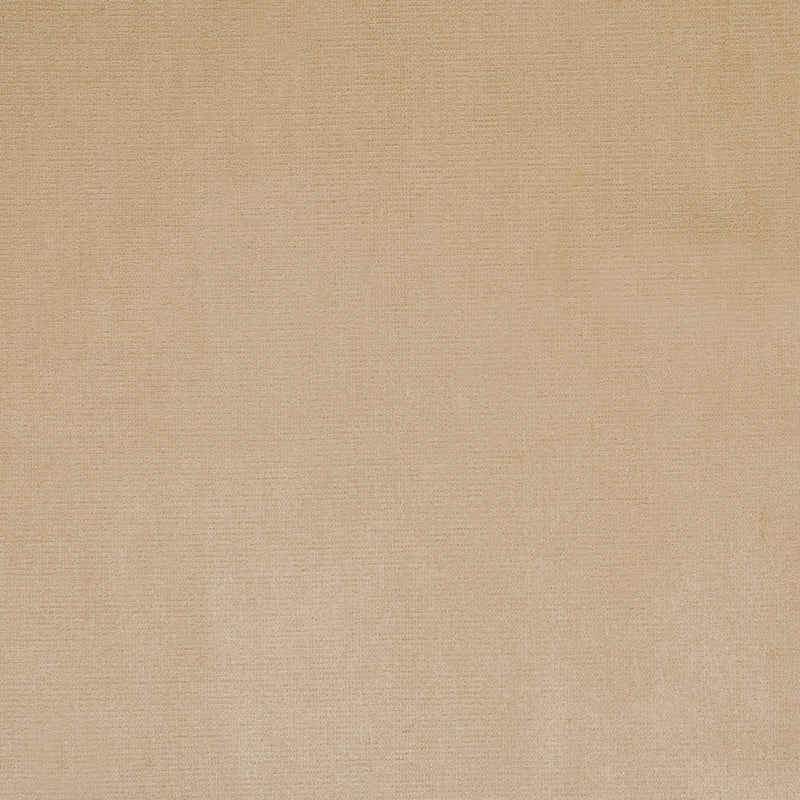 Pale Gold Home Decor Velvet