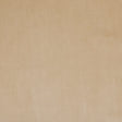 Pale Gold Home Decor Velvet